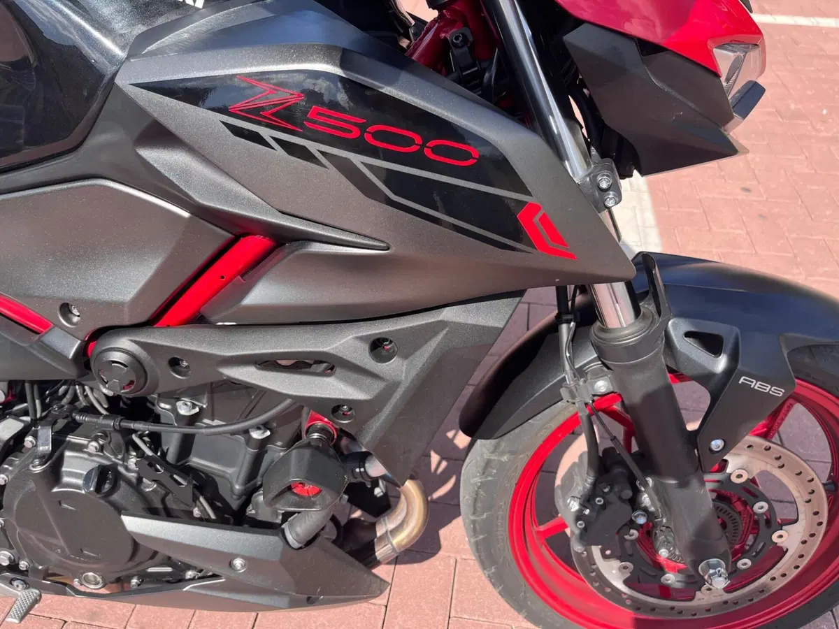 Kawasaki Z 500 SE (2024 - 26) (12)