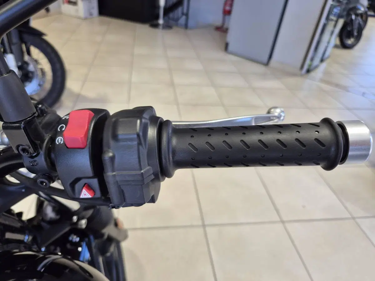 Triumph Street Twin 900 (2019 - 20) (10)