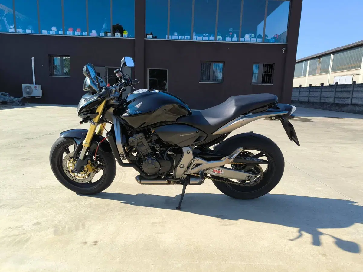 Honda Hornet 600 (2007 - 10)