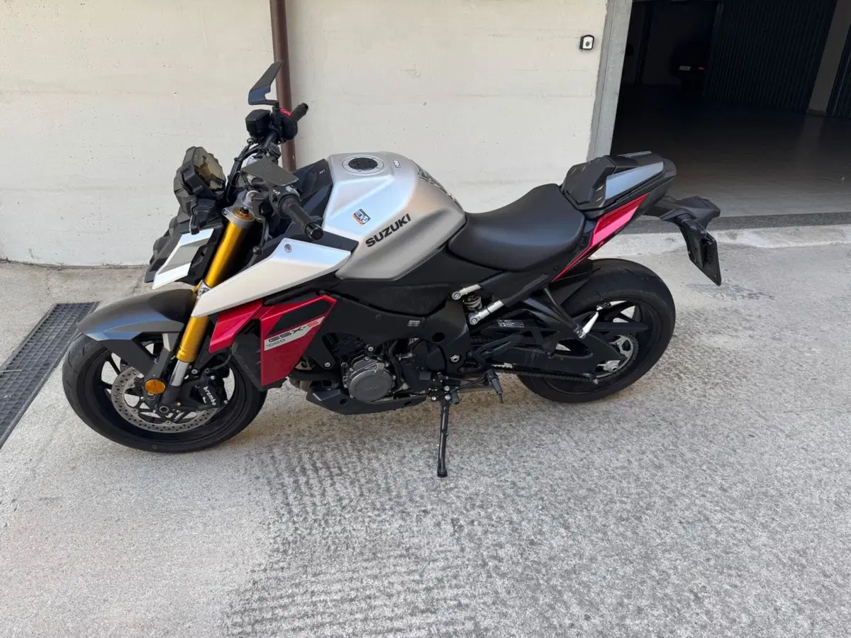 Suzuki GSX-S1000 (2021 - 25) (3)