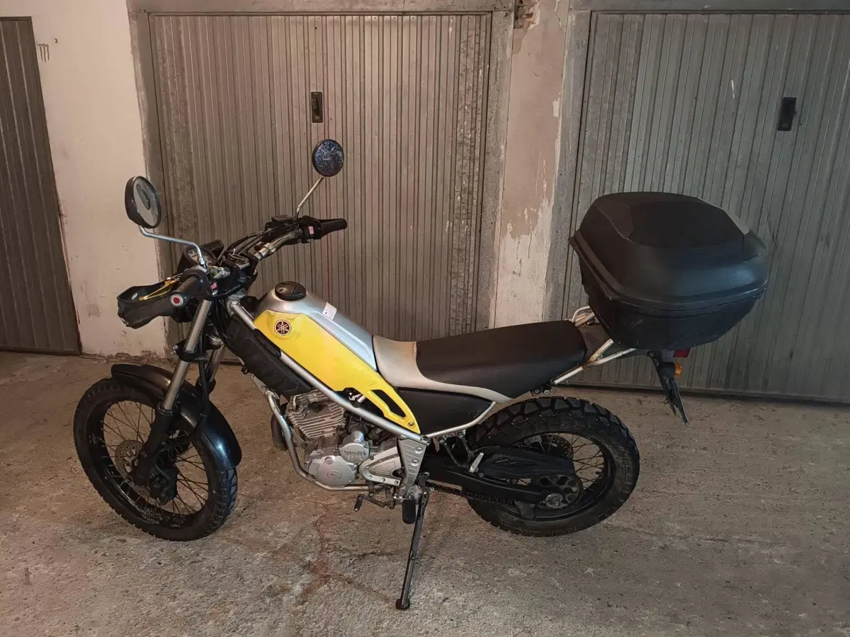 Yamaha Tricker (4)