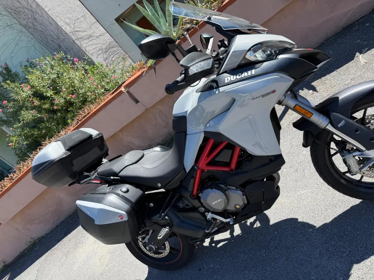 Ducati Multistrada 950 S (2019 - 20) (9)