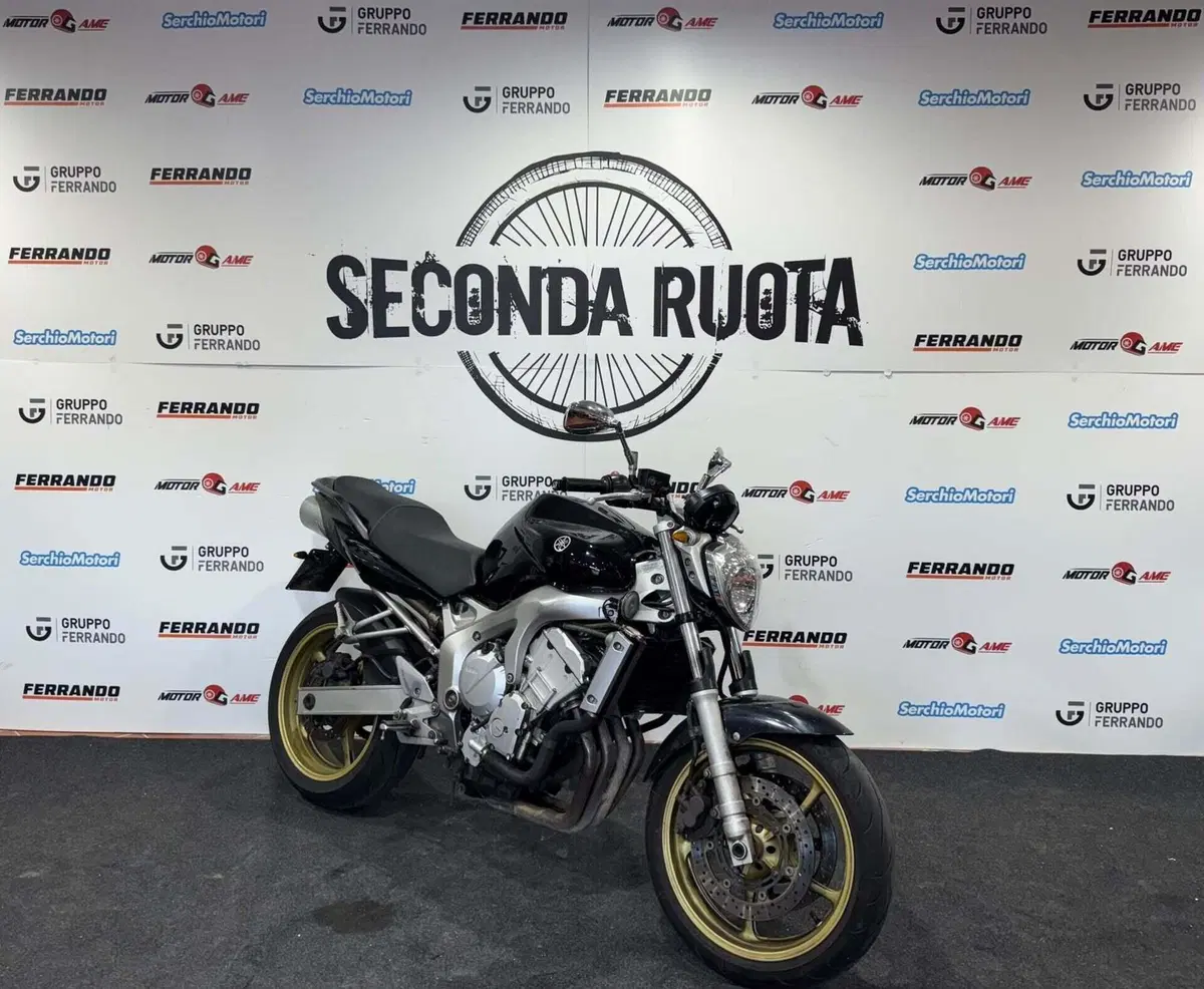 Yamaha FZ6 (2004 - 07) (2)