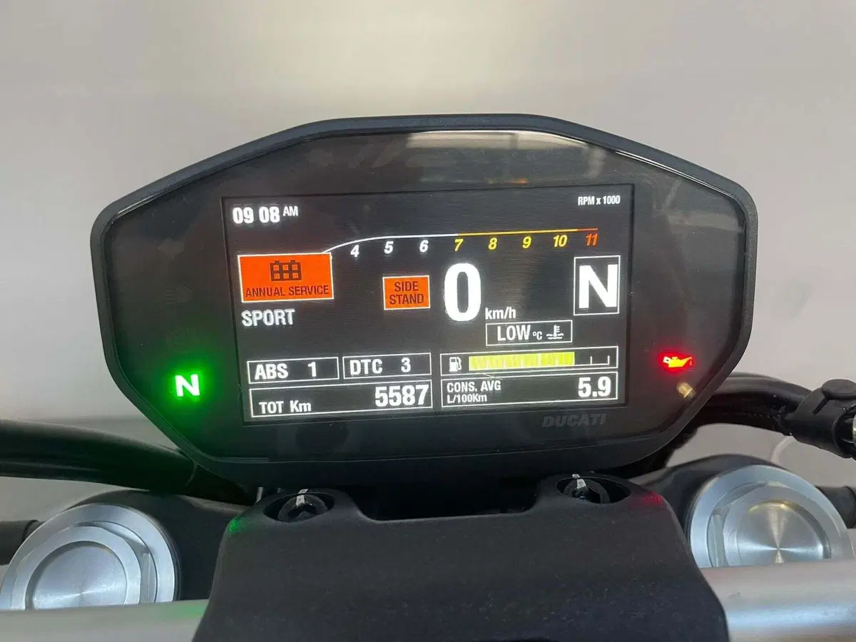 Ducati Monster 821 (2018 - 20) (7)