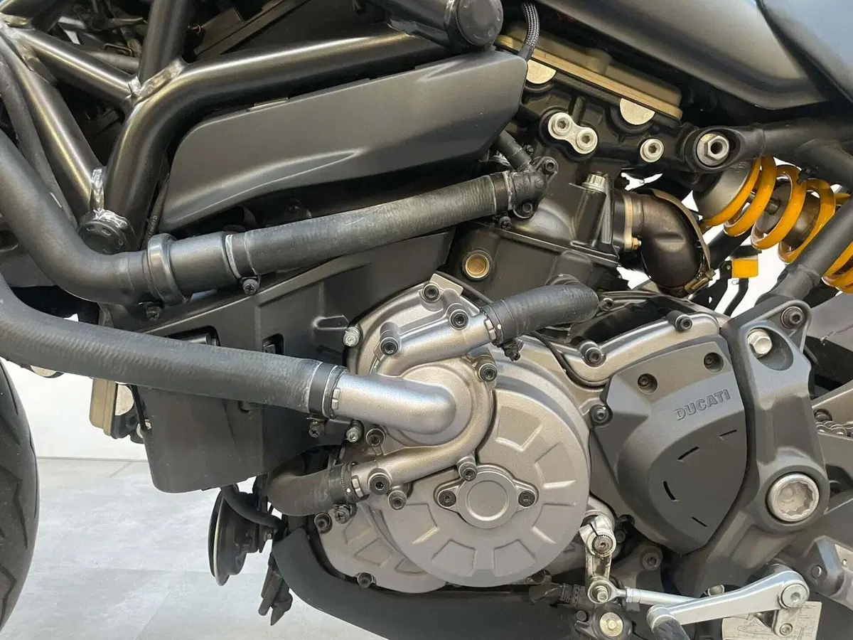 Ducati Monster 821 (2018 - 20) (8)