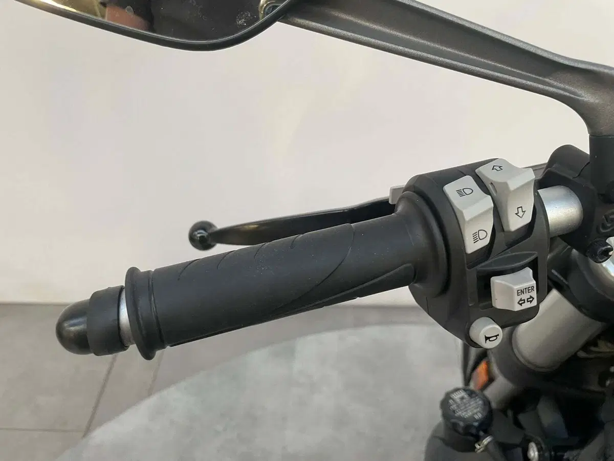 Ducati Monster 821 (2018 - 20) (9)