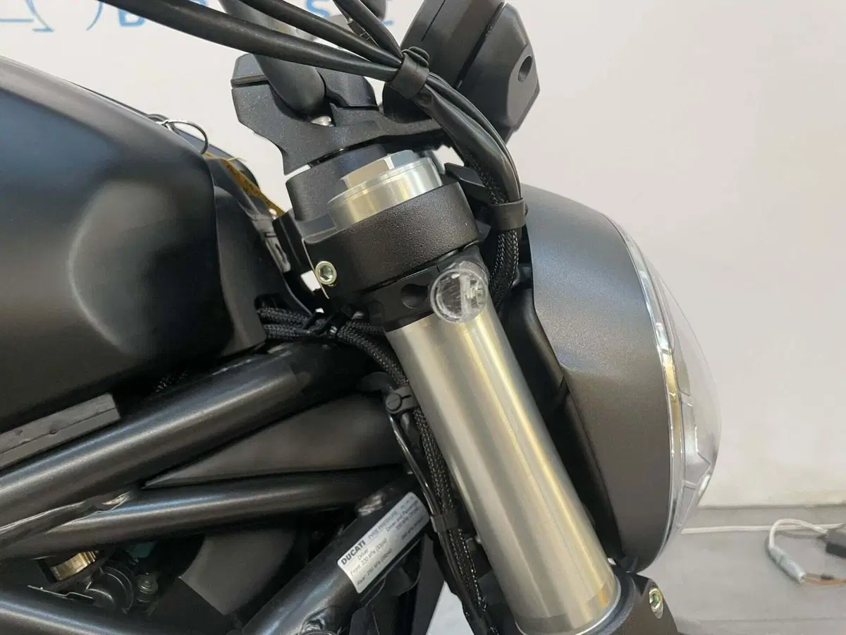 Ducati Monster 821 (2018 - 20) (11)