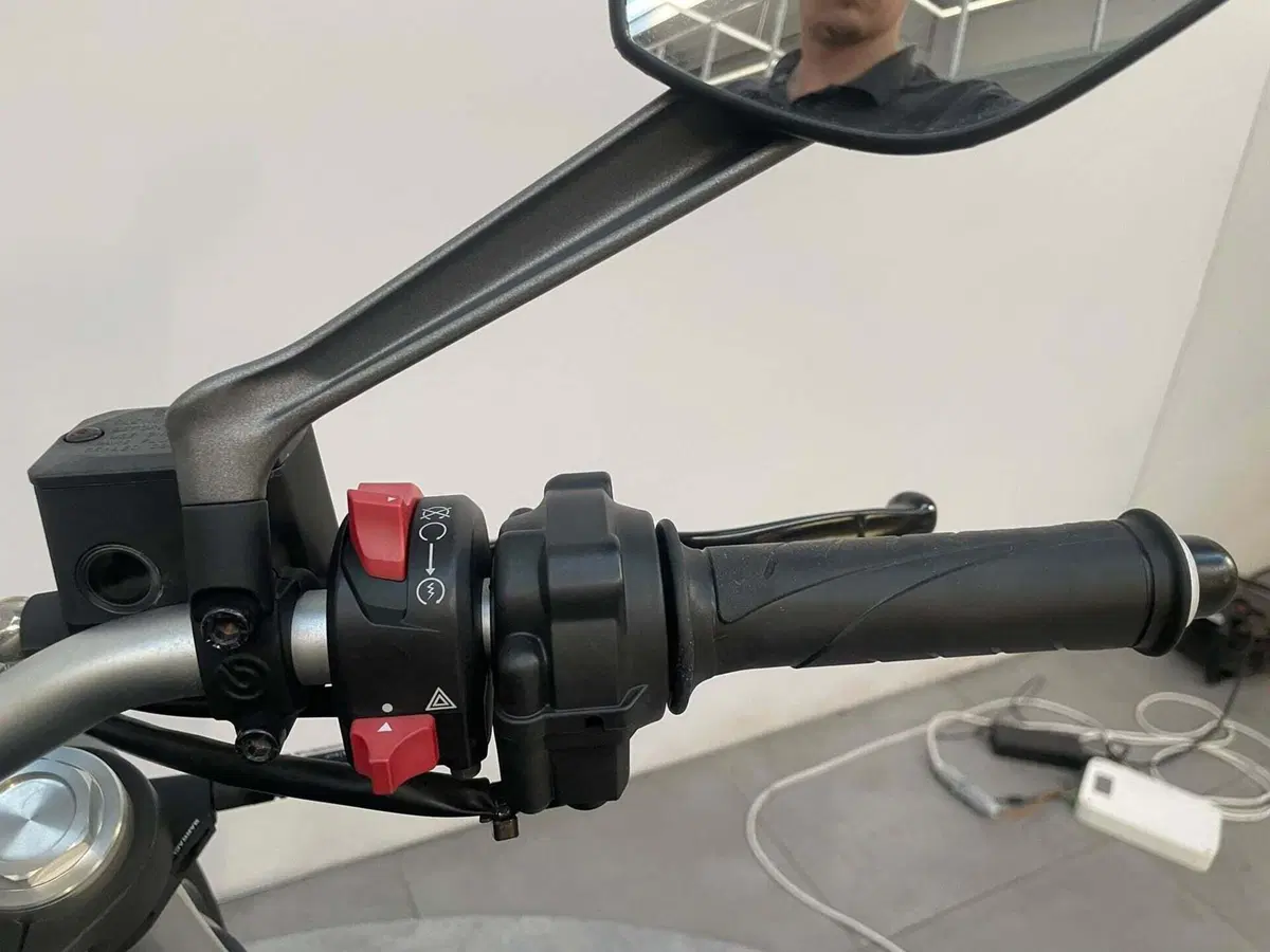 Ducati Monster 821 (2018 - 20) (12)