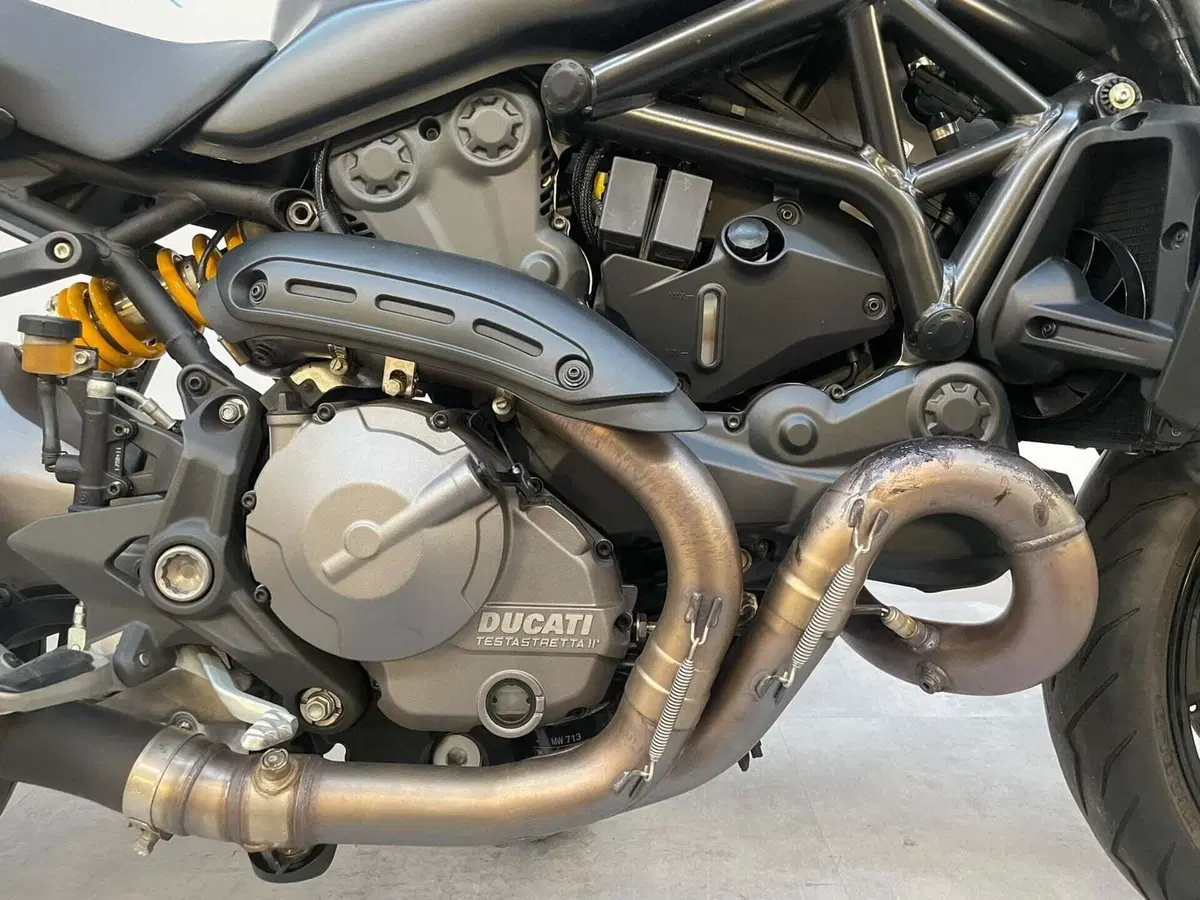 Ducati Monster 821 (2018 - 20) (15)