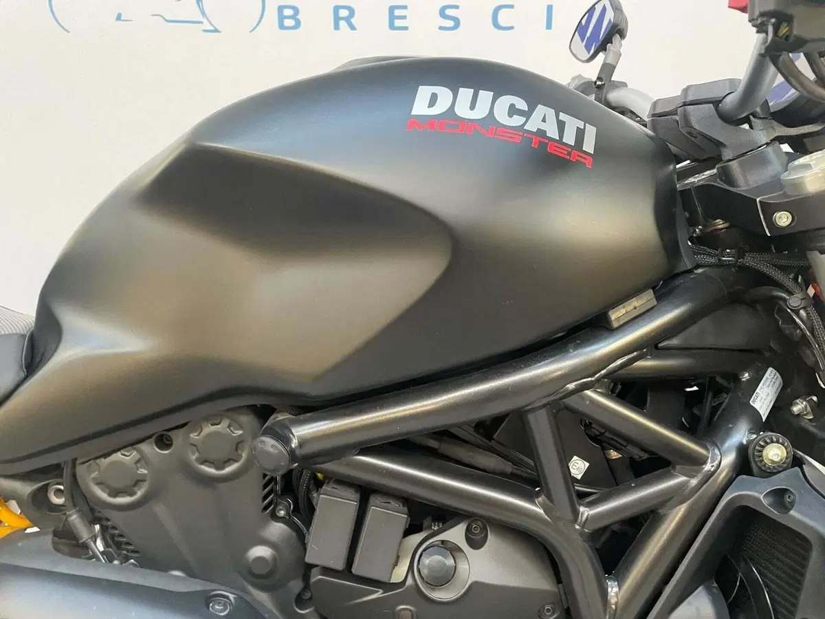 Ducati Monster 821 (2018 - 20) (17)