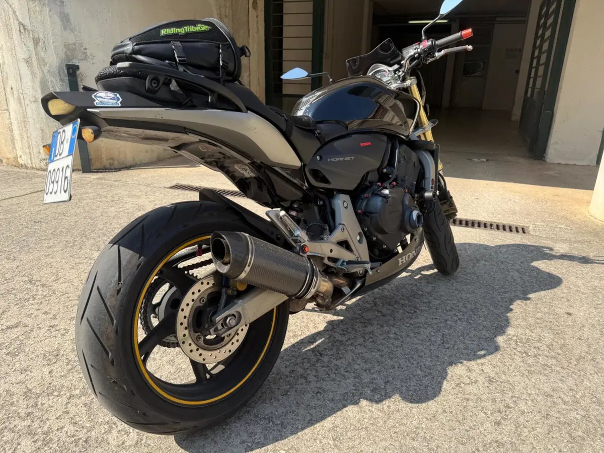 Honda Hornet 600 (2007 - 10) (5)