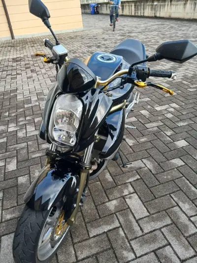 Kawasaki ER-6N (2006 - 09) usata