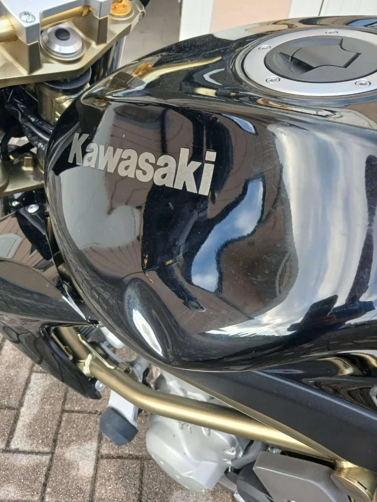 Kawasaki ER-6N (2006 - 09) (2)