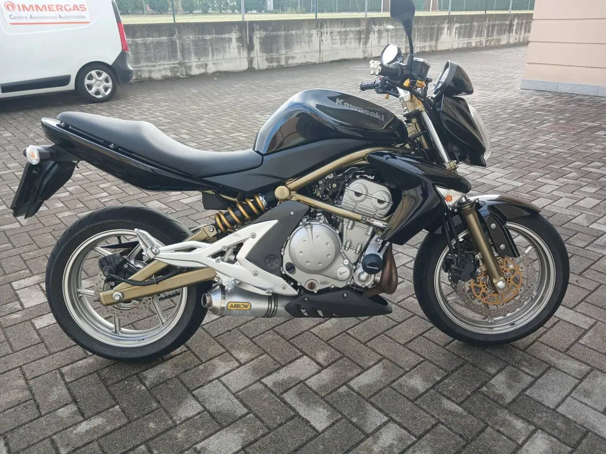 Kawasaki ER-6N (2006 - 09) (7)
