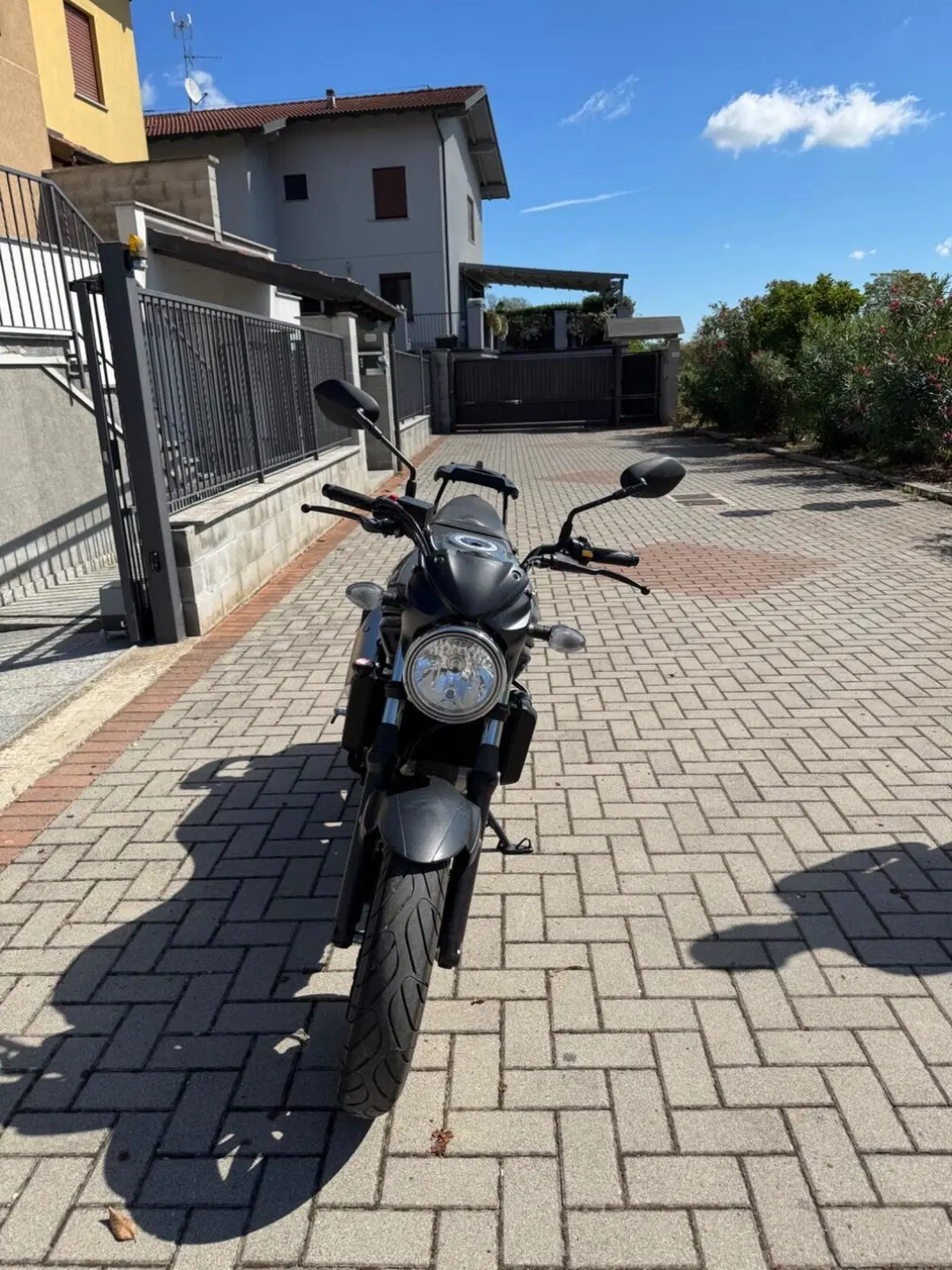 Suzuki SV650 (2021 - 24) (2)