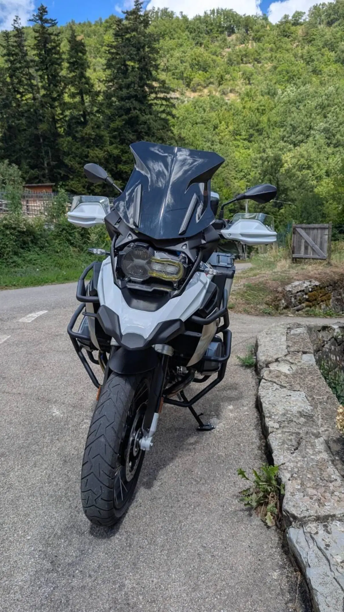 Bmw R 1250 GS (2019 - 20) (9)