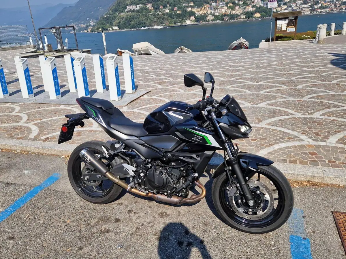Kawasaki Z 500 (2024 - 26)