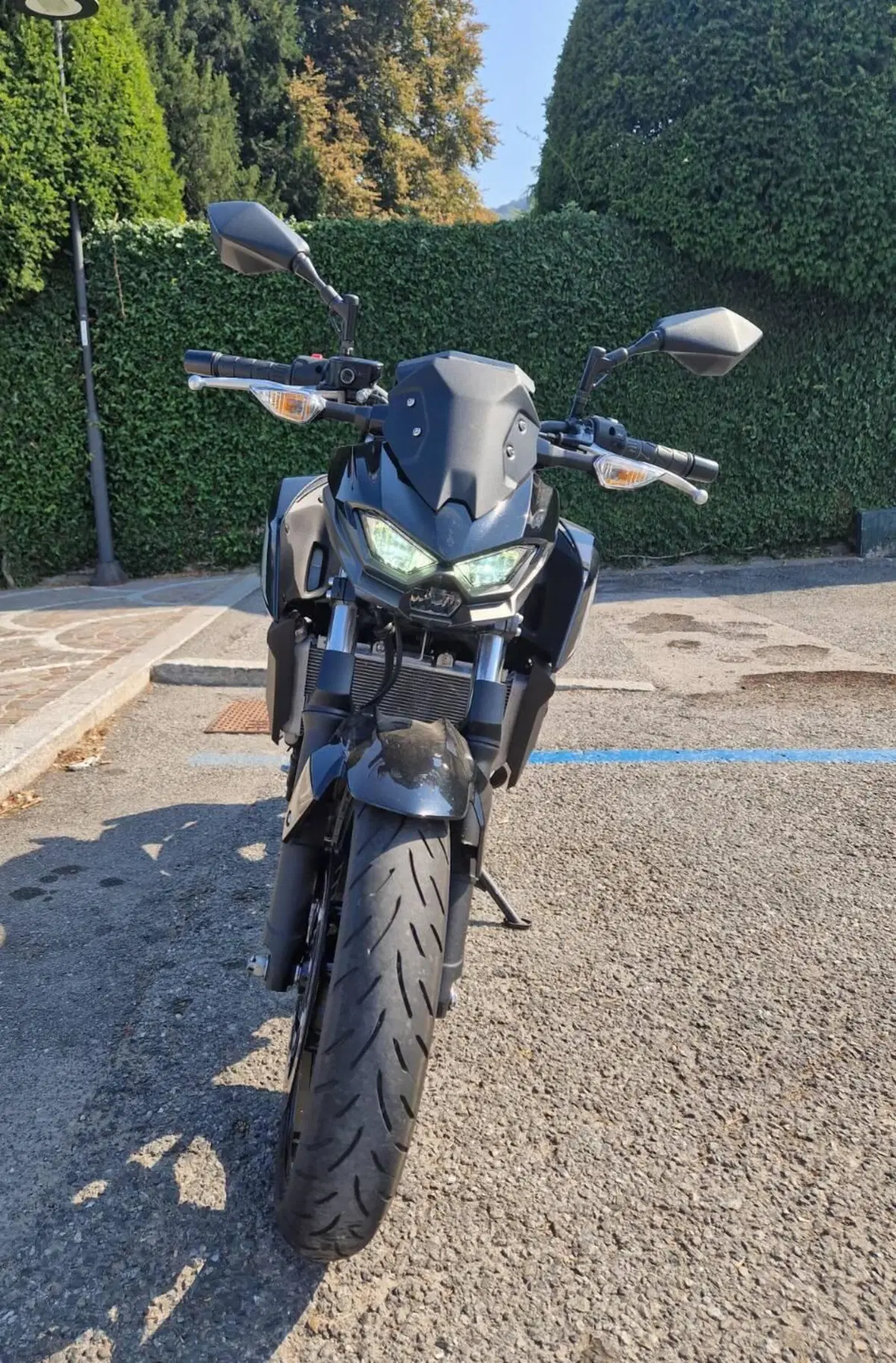 Kawasaki Z 500 (2024 - 26) (3)