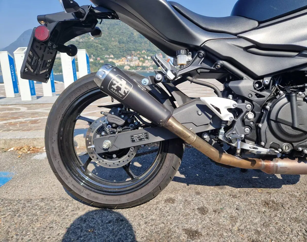 Kawasaki Z 500 (2024 - 26) (4)