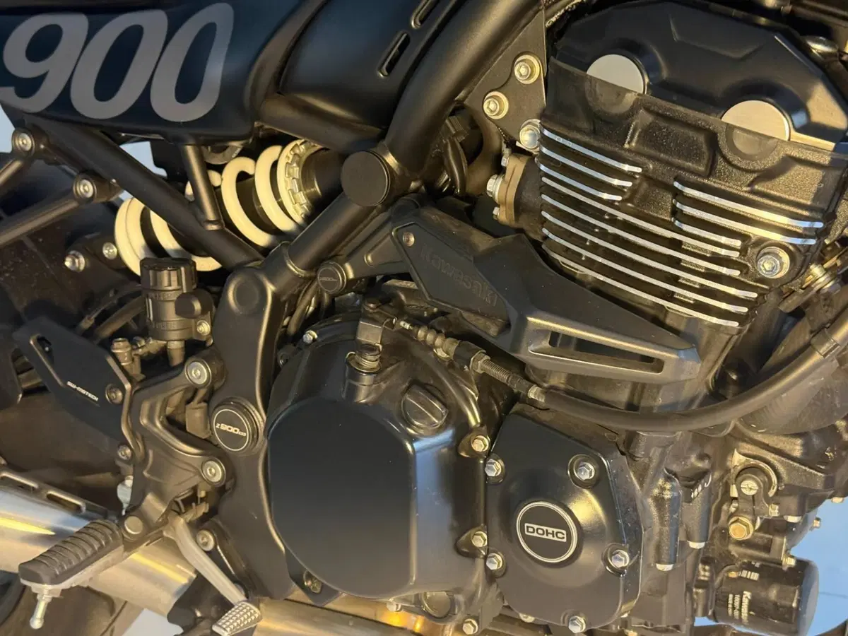 Kawasaki Z 900 RS (2018 - 20) (14)
