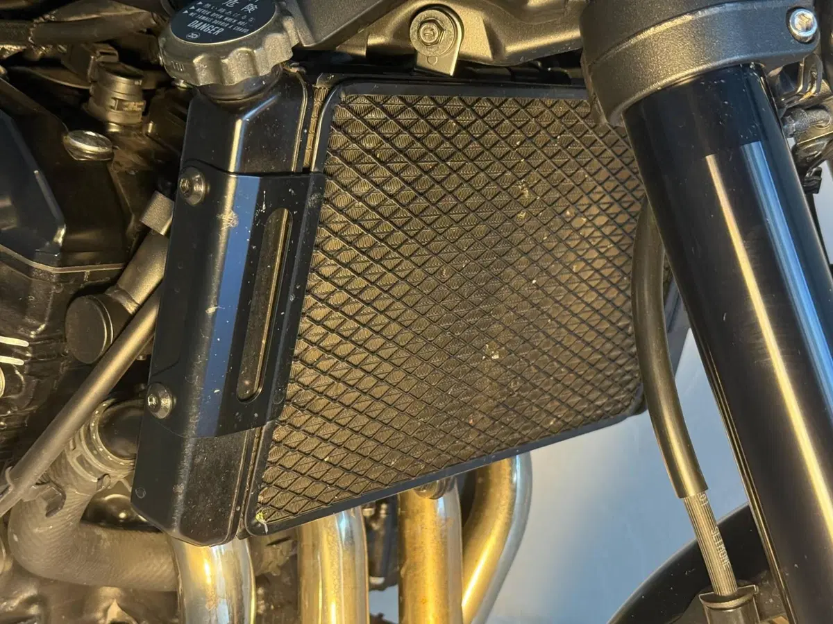 Kawasaki Z 900 RS (2018 - 20) (16)