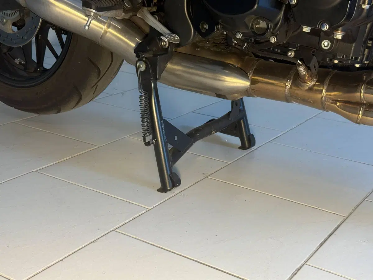 Kawasaki Z 900 RS (2018 - 20) (17)