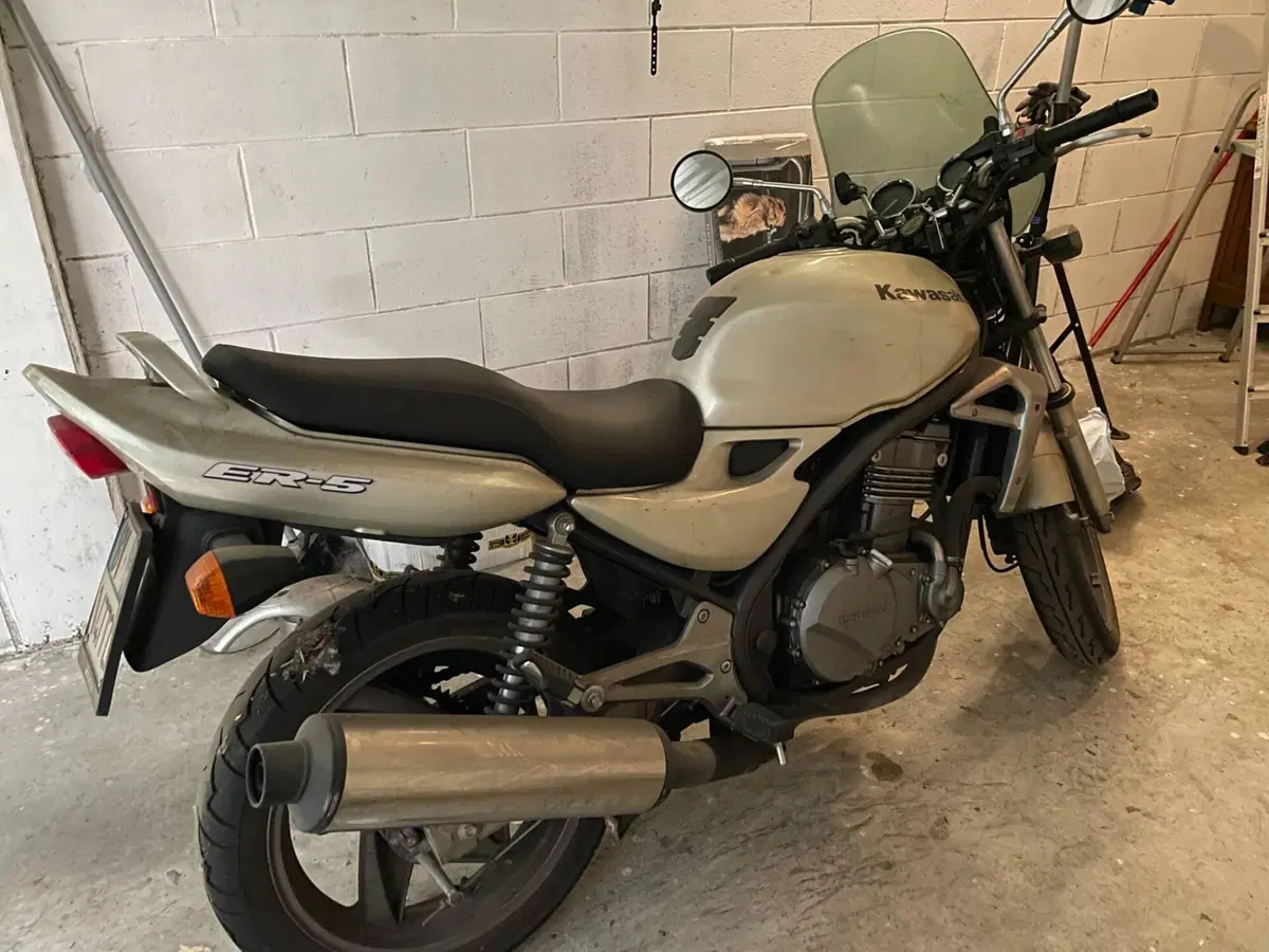 Kawasaki ER-5 500 (2001 - 06)