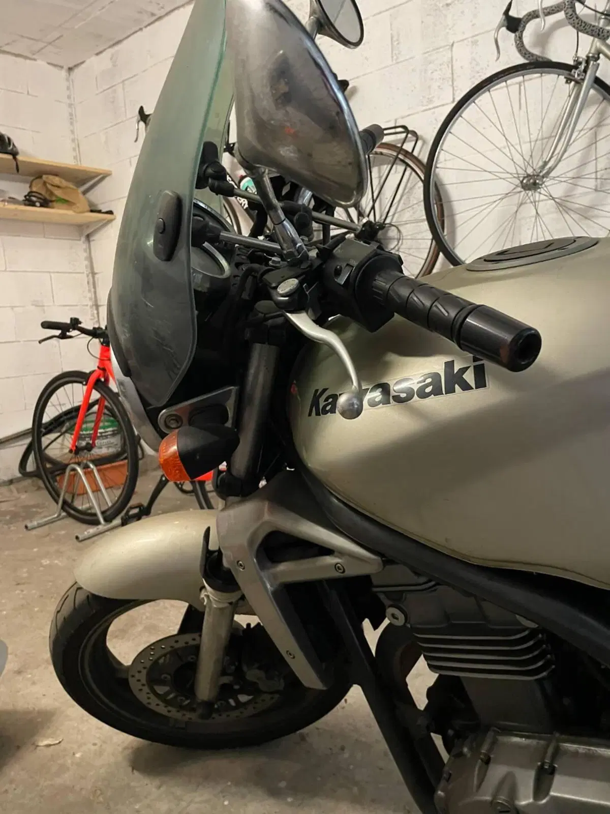 Kawasaki ER-5 500 (2001 - 06) (5)