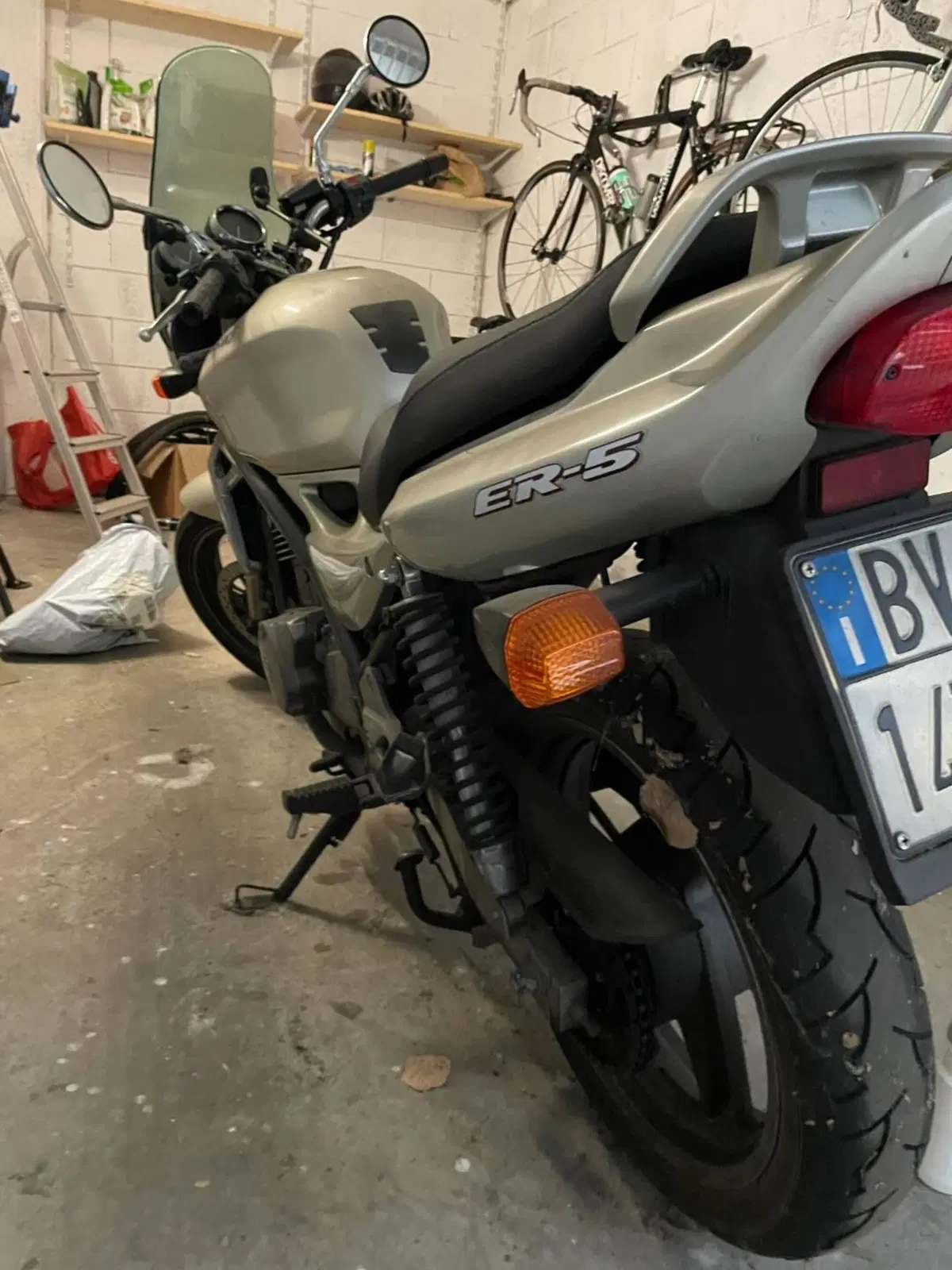 Kawasaki ER-5 500 (2001 - 06) (6)