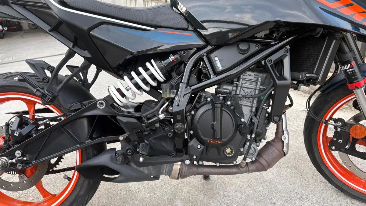 KTM 125 Duke (2024 - 25) (6)