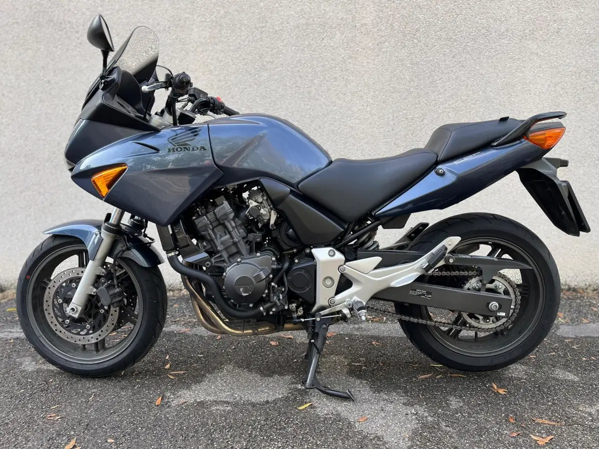 Honda CBF 600 (2004 - 06) (3)