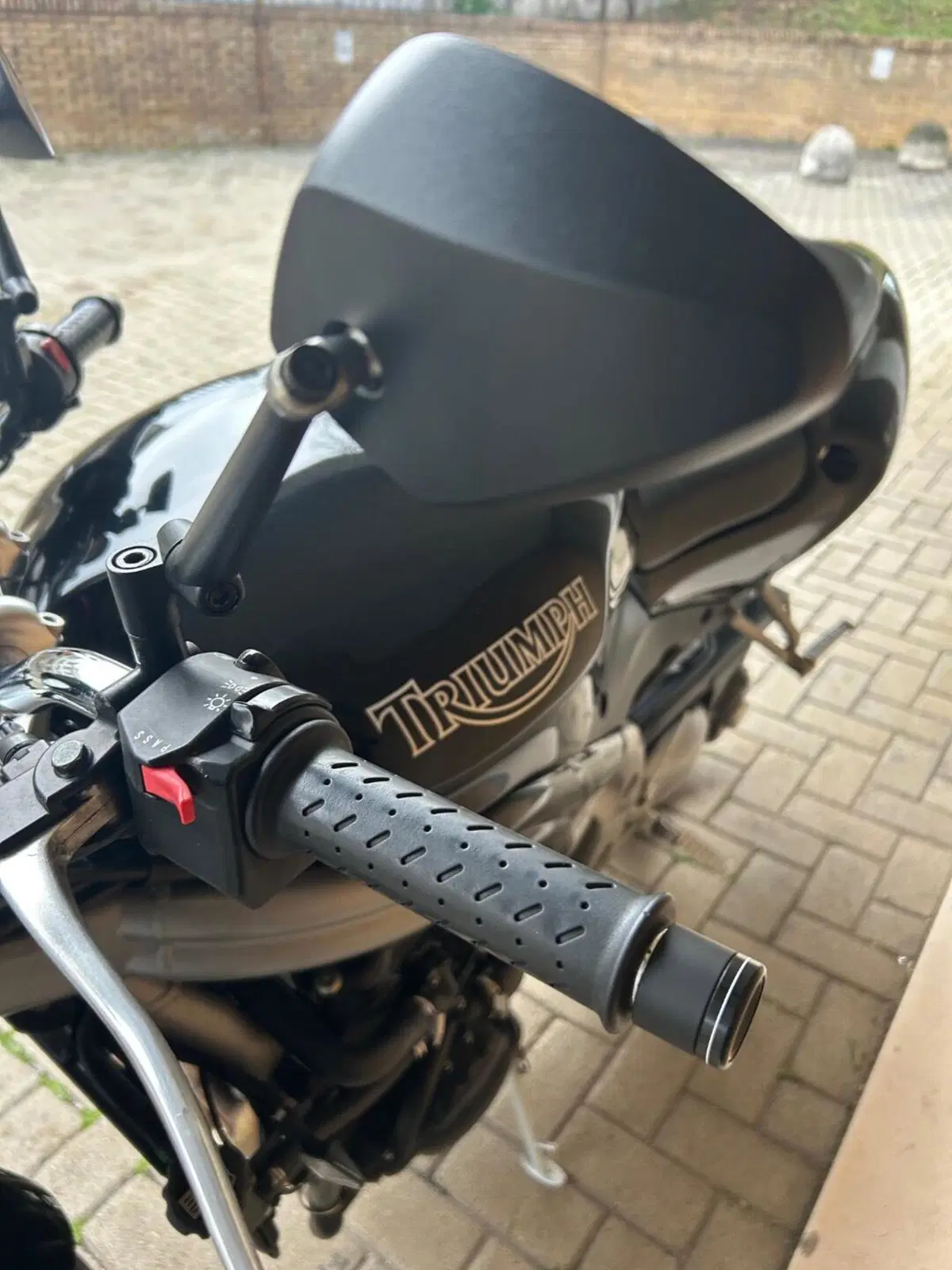 Triumph Speed Triple 955 (2002 - 04) (3)