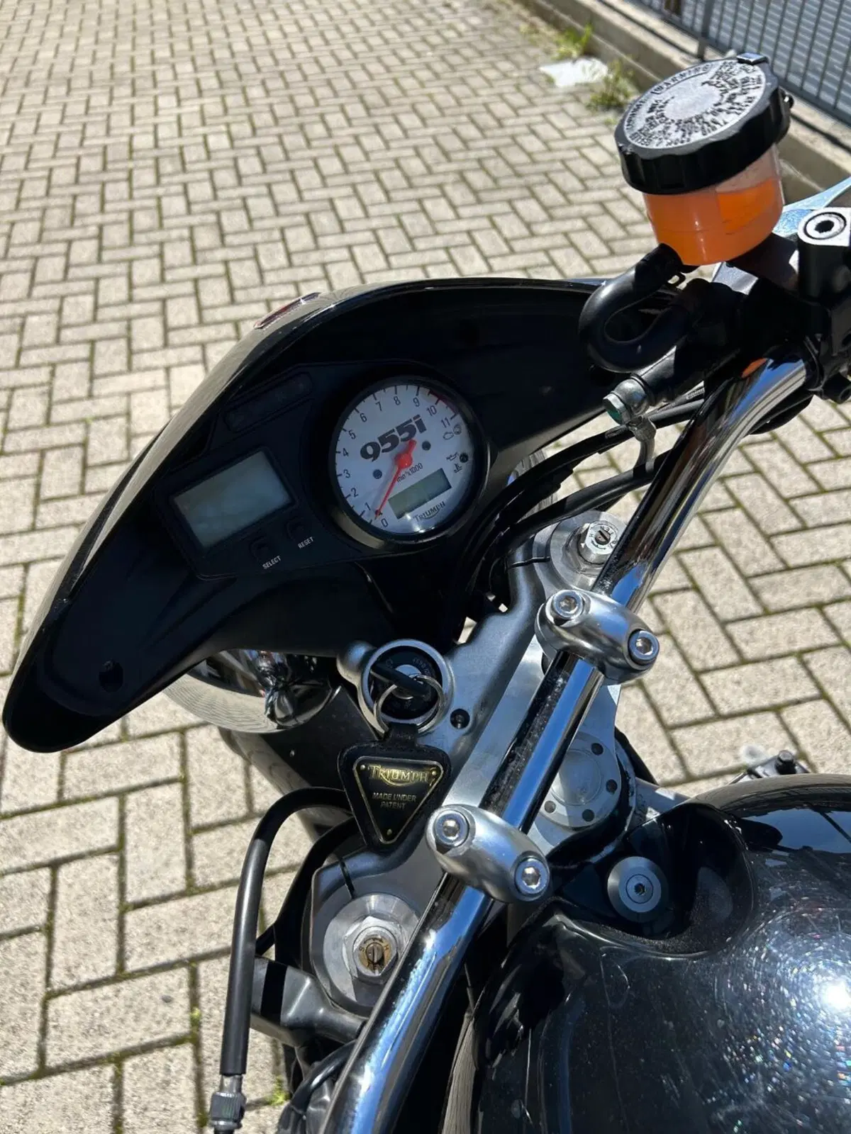 Triumph Speed Triple 955 (2002 - 04) (5)
