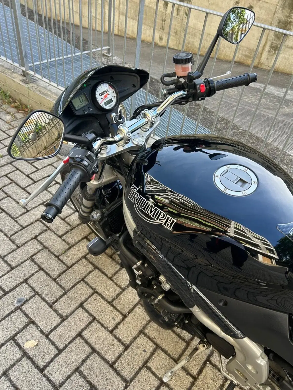 Triumph Speed Triple 955 (2002 - 04) (6)