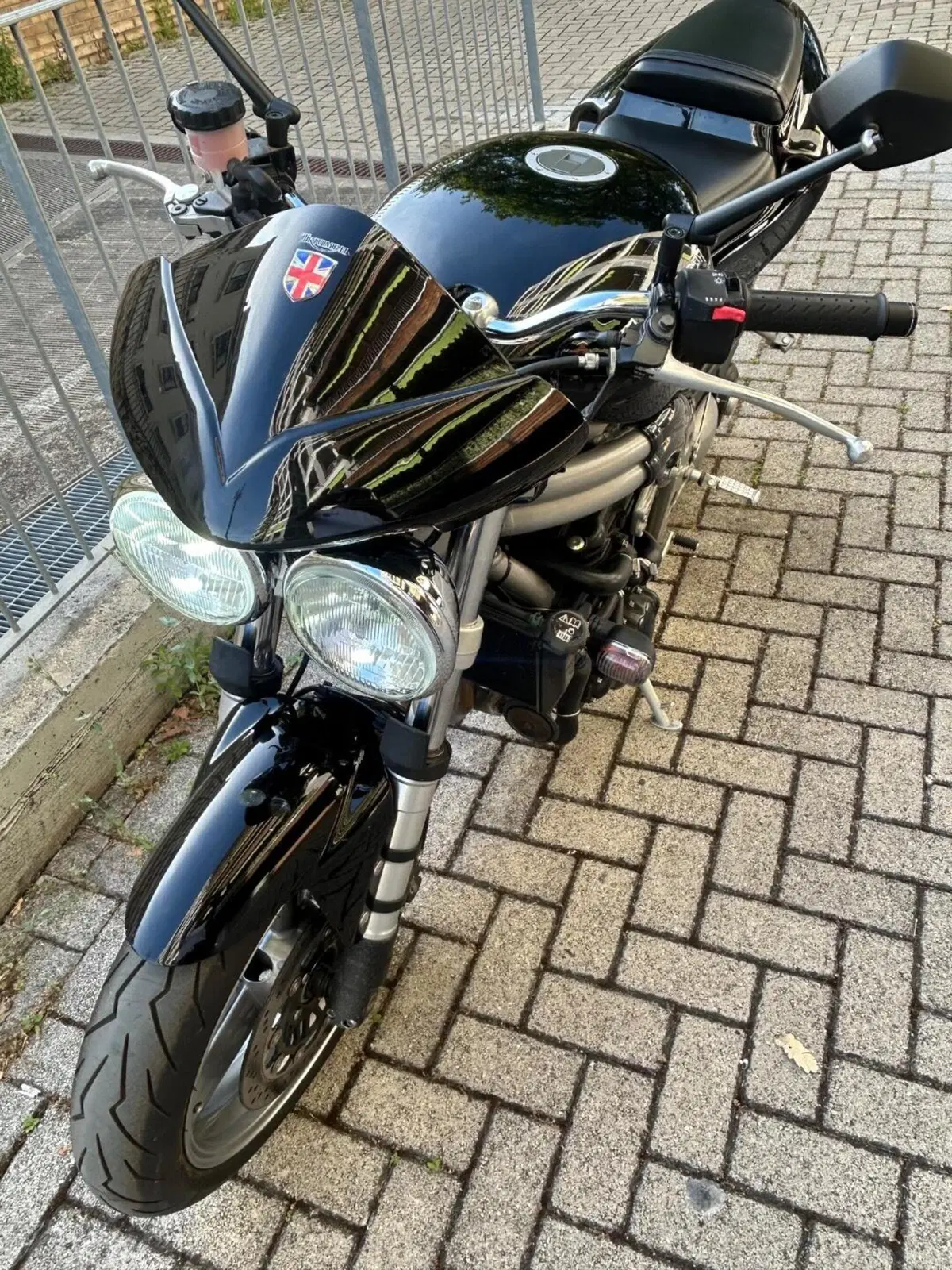 Triumph Speed Triple 955 (2002 - 04) (7)