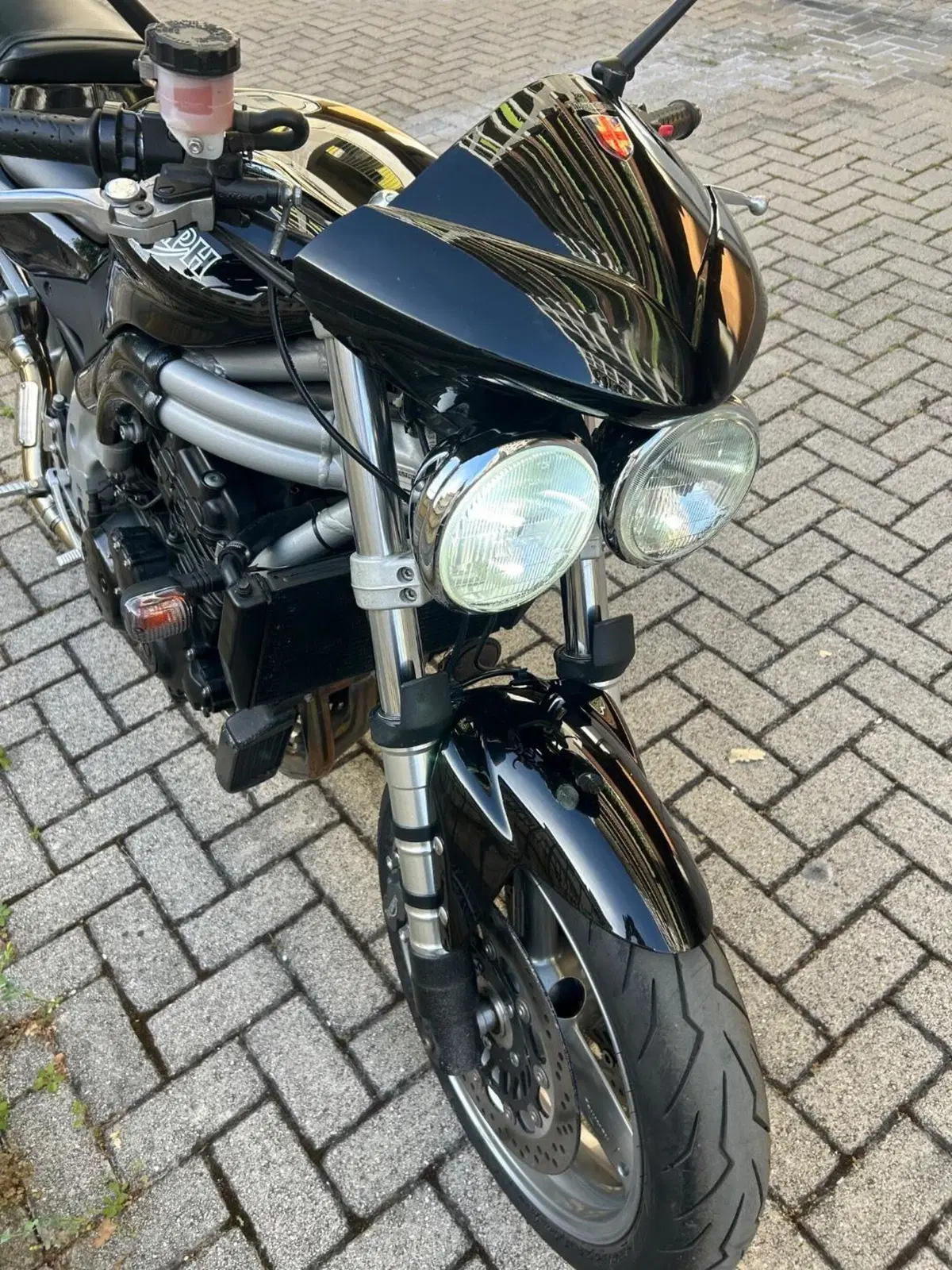 Triumph Speed Triple 955 (2002 - 04) (8)