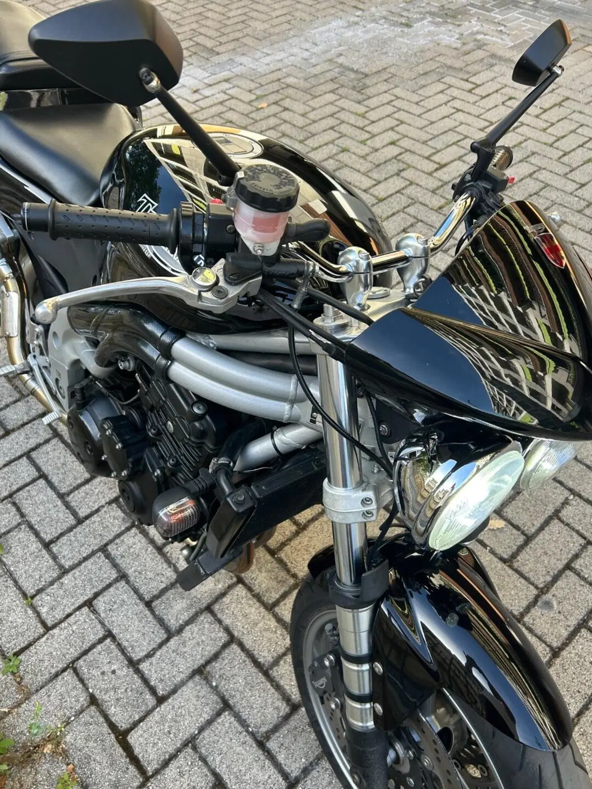 Triumph Speed Triple 955 (2002 - 04) (9)