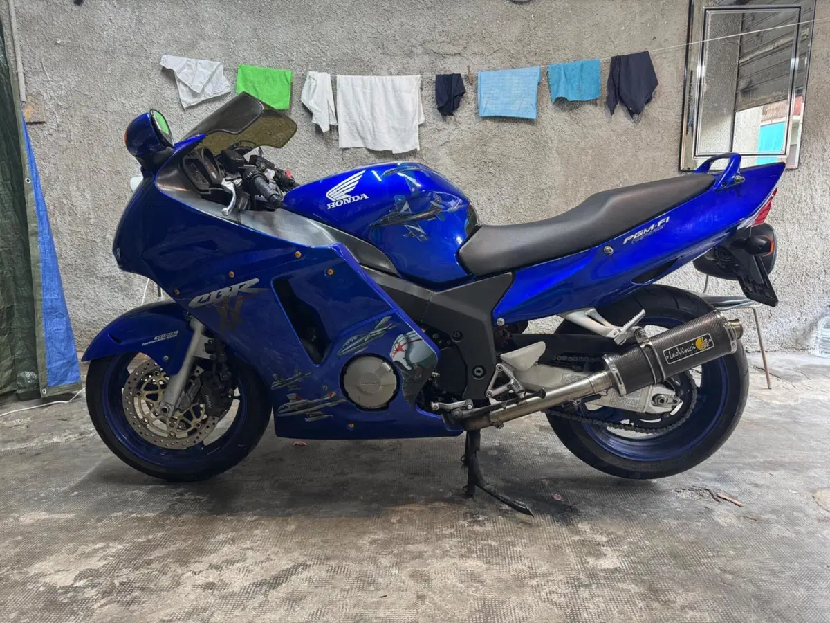Honda CBR 1100 XX  (2001 - 06) (14)