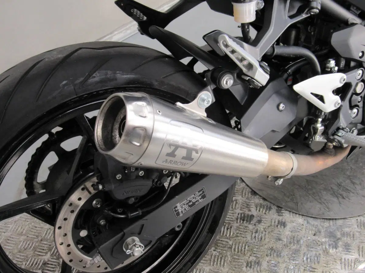 Kawasaki Ninja 500 (2024 - 26) (10)