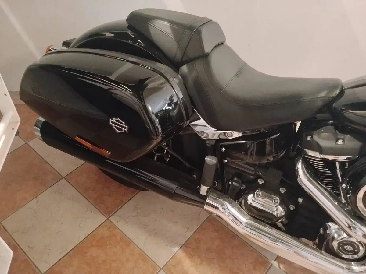 Harley-Davidson Sport Glide (2021 - 25) (2)