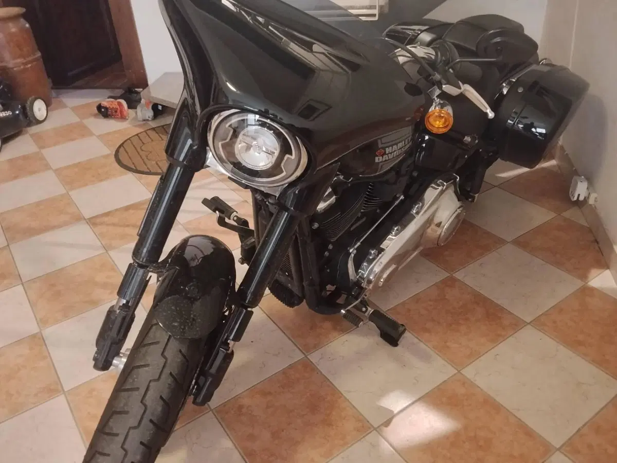 Harley-Davidson Sport Glide (2021 - 25) (3)