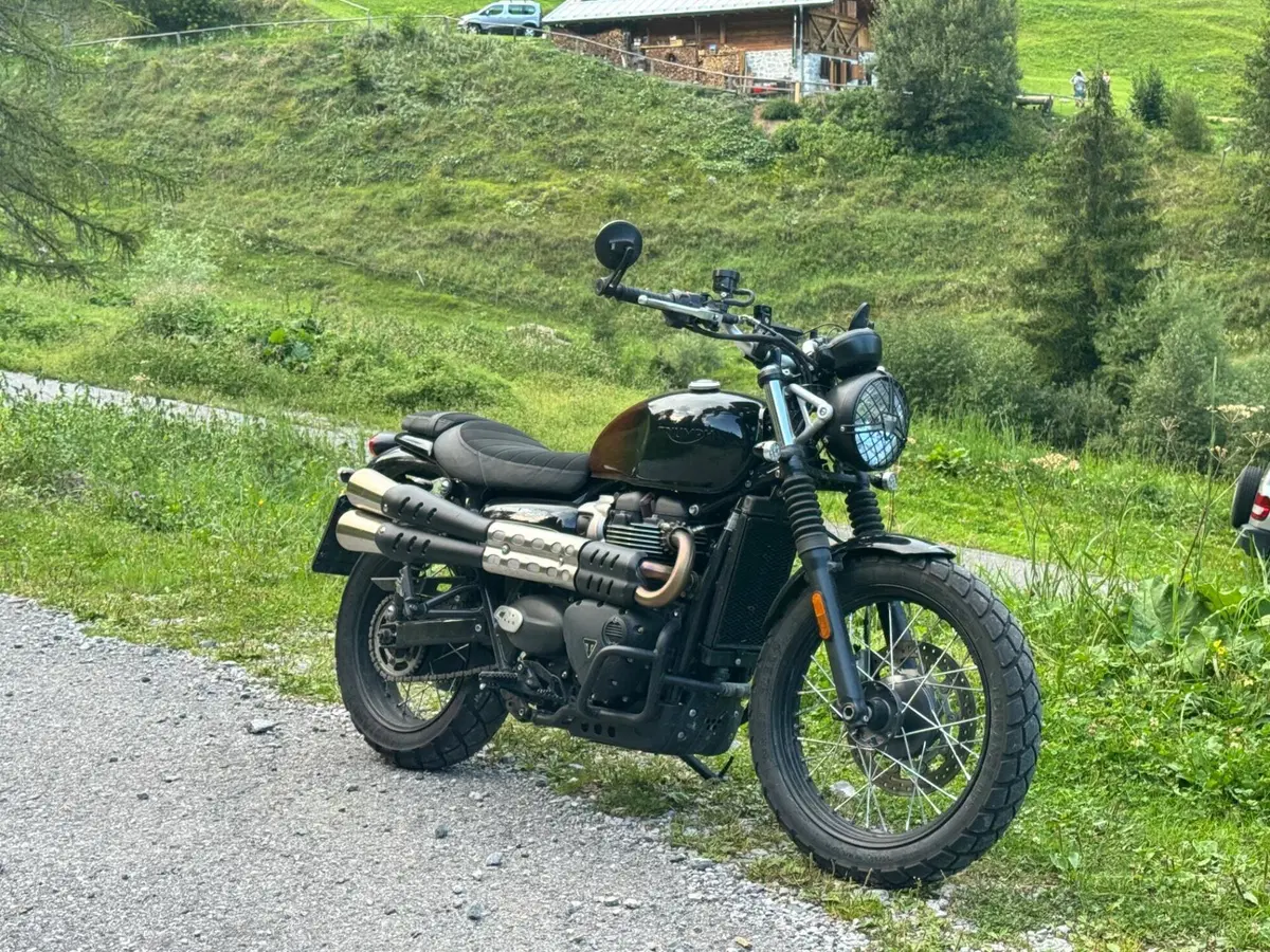 Triumph Scrambler 900 Stealth Edition (2024)