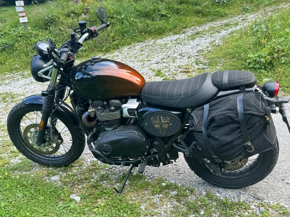 Triumph Scrambler 900 Stealth Edition (2024) (3)