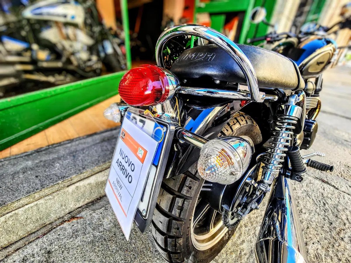Triumph Bonneville SE (2009 - 13) (16)