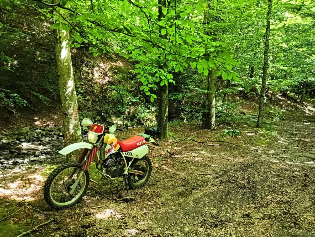 Yamaha TT 350 S (1990 - 95)
