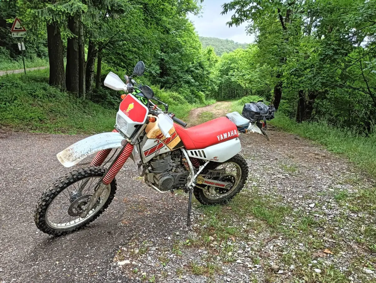 Yamaha TT 350 S (1990 - 95) (2)