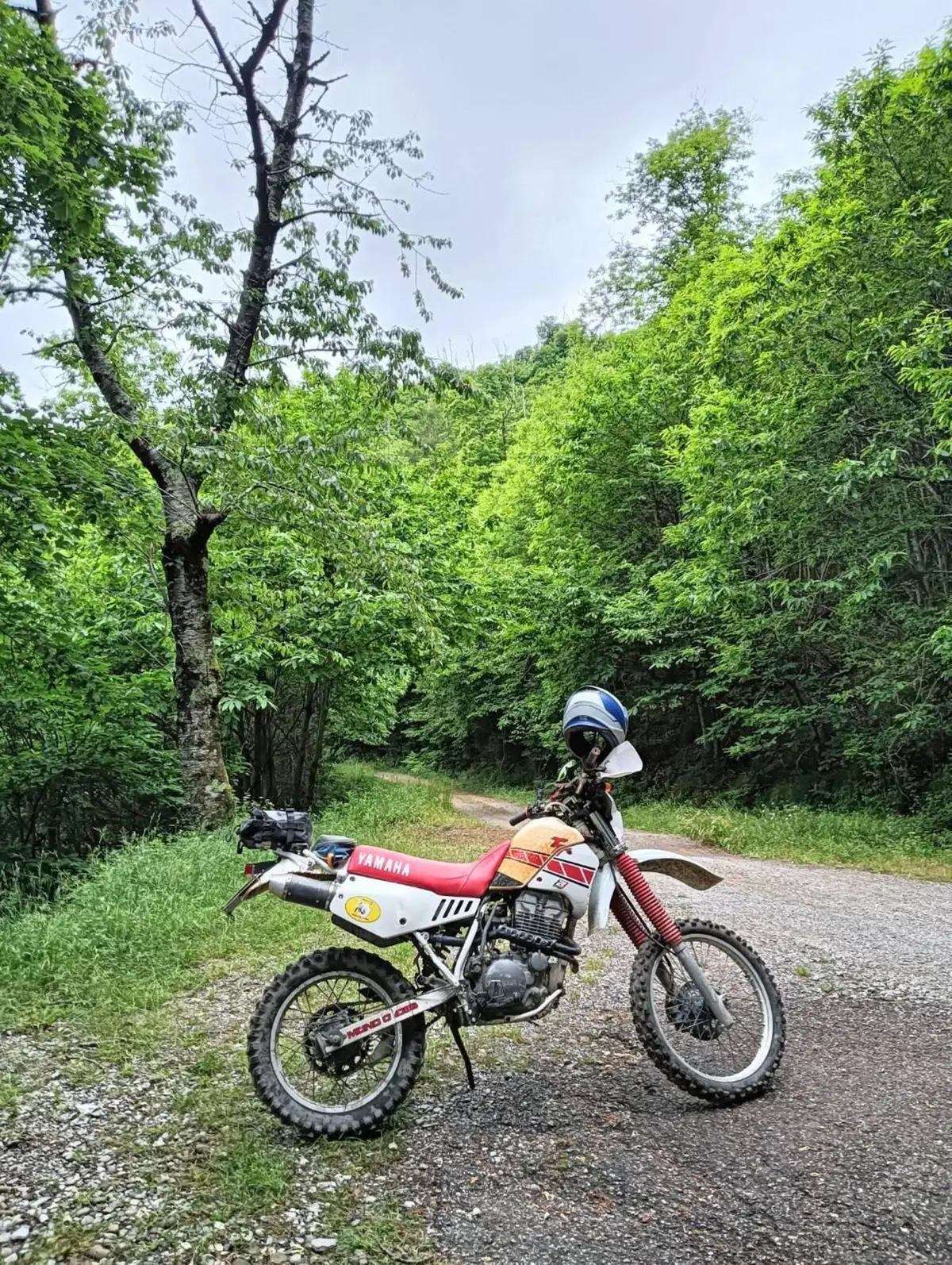 Yamaha TT 350 S (1990 - 95) (3)