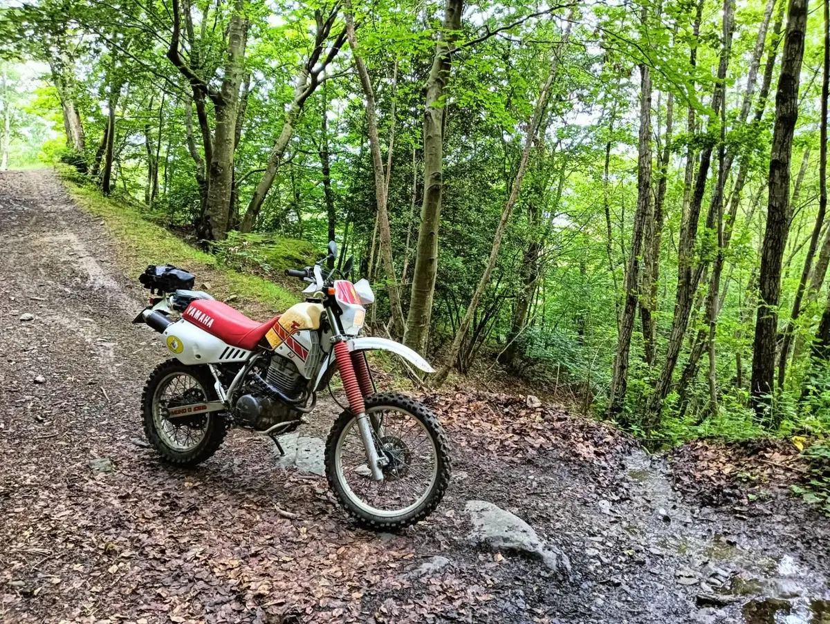 Yamaha TT 350 S (1990 - 95) (4)