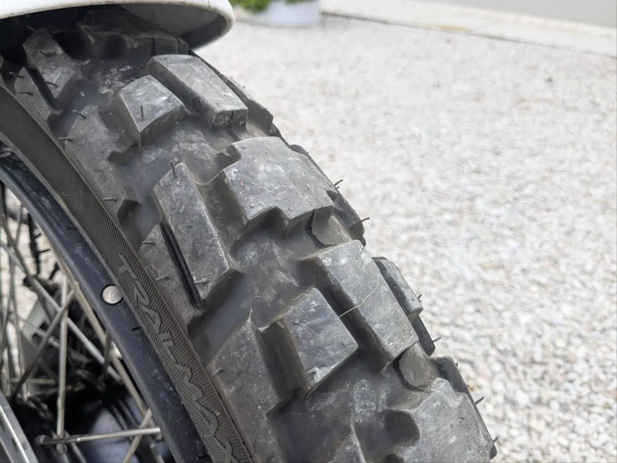 Ducati DesertX (2022 - 25) (6)