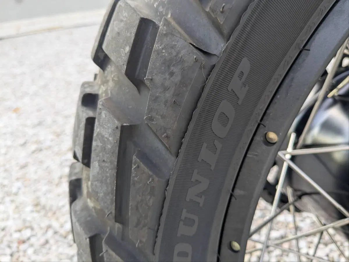 Ducati DesertX (2022 - 25) (7)
